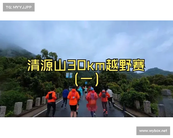 极限挑战赛道上的速度与激情 2025汽车越野赛全程解析 极限挑战赛道上的速度与激情 2025汽车越野赛全程解析